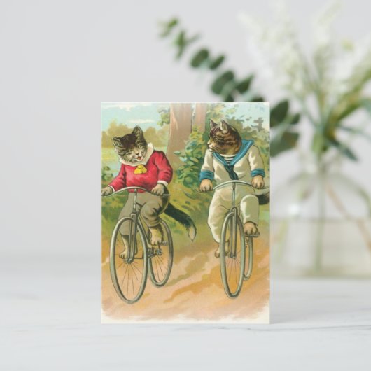 Katten Riding Bikes Briefkaart (Staand voorkant)