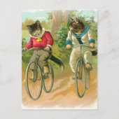 Katten Riding Bikes Briefkaart (Voorkant)