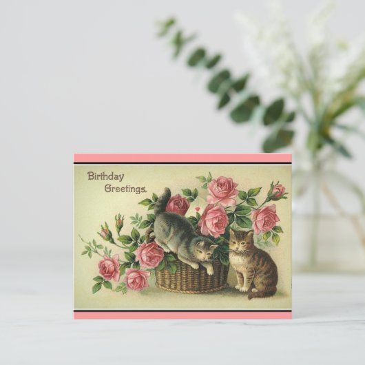  Katten Roze Rozen Bloemenmand-Briefkaart Briefkaart