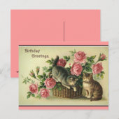  Katten Roze Rozen Bloemenmand-Briefkaart Briefkaart (Voorkant / Achterkant)