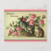  Katten Roze Rozen Bloemenmand-Briefkaart Briefkaart (Voorkant)