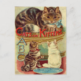 katten schattig briefkaart