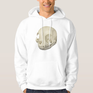 Katten schedel hoodie