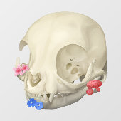 Katten schedel met flora raamsticker (Vel)