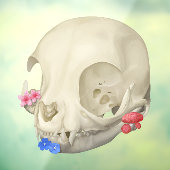 Katten schedel met flora raamsticker (Vel 3)
