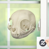 Katten schedel raamsticker (Huis)