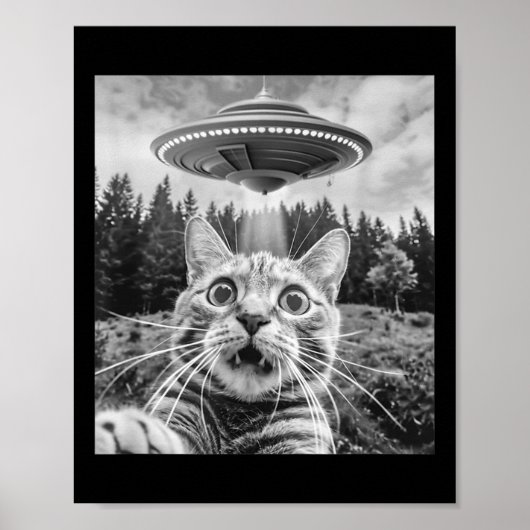 Katten Selfie Met Alien Ufo Grappige Kat Voor Mann Poster (Voorkant)