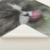 katten, Sherpa Blankets, vaartuigen, vakanties, el Sherpa Deken (3/4)