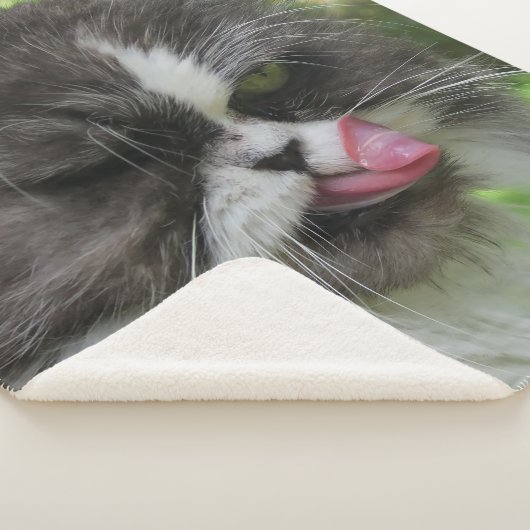 katten, Sherpa Blankets, vaartuigen, vakanties, el Sherpa Deken (3/4)