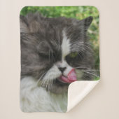 katten, Sherpa Blankets, vaartuigen, vakanties, el Sherpa Deken (Voorkant)