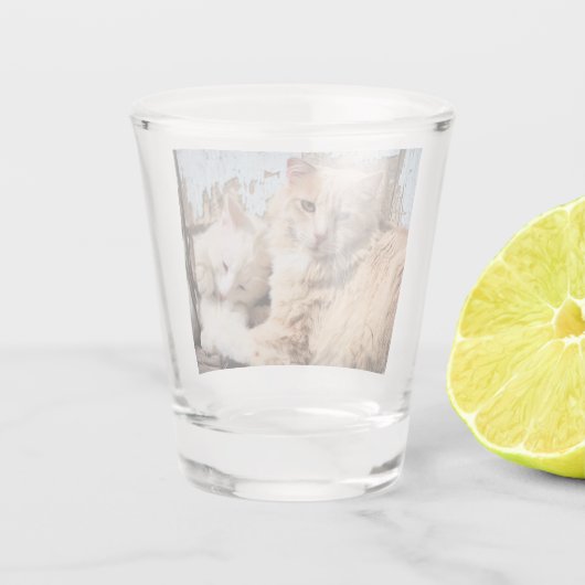 Katten Shot Glas (Achterkant)