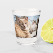 Katten Shot Glas (Voorkant)