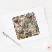 Katten! Siberische stickers (Envelop)