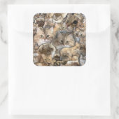 Katten! Siberische stickers (Tas)