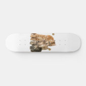 Katten Skateboard (Horizontaal)