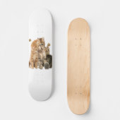 Katten Skateboard (Voorkant)