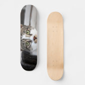 Katten Skateboard (Voorkant)