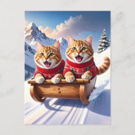 Katten Sled Ride Briefkaart