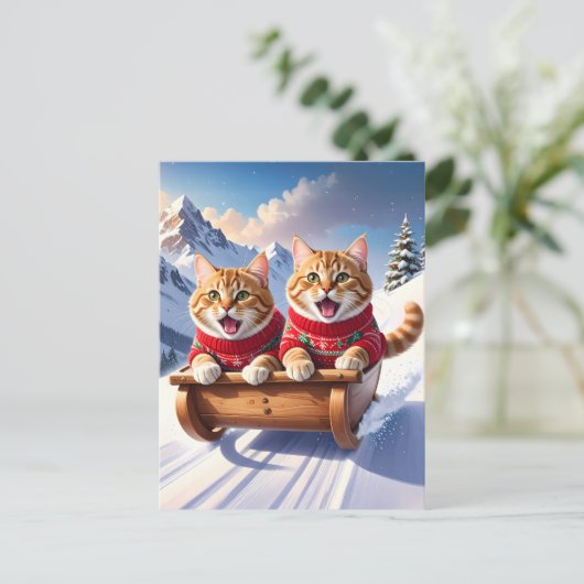 Katten Sled Ride Briefkaart (Staand voorkant)