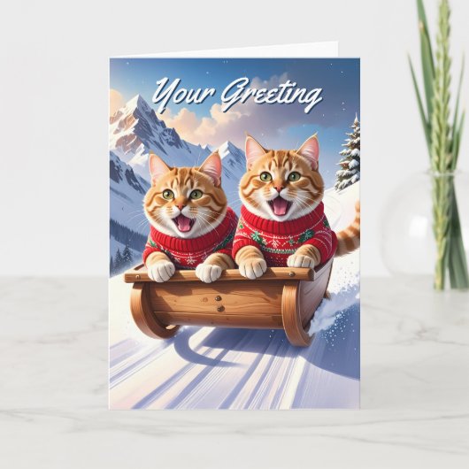 Katten Sled Ride Kaart (Voorkant)