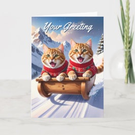 Katten Sled Ride Kaart