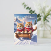 Katten Sled Ride Kerstmis Briefkaart (Staand voorkant)