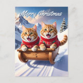 Katten Sled Ride Kerstmis Briefkaart (Voorkant)