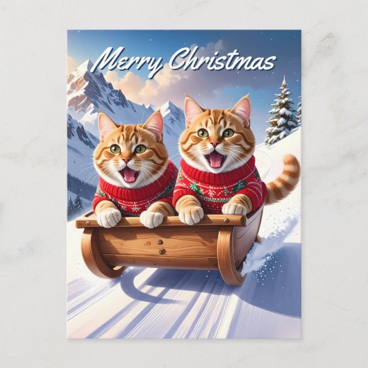 Katten Sled Ride Kerstmis Briefkaart (Voorkant)