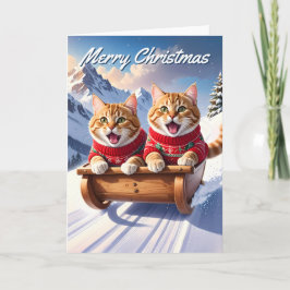 Katten Sled Ride Kerstmis Kaart