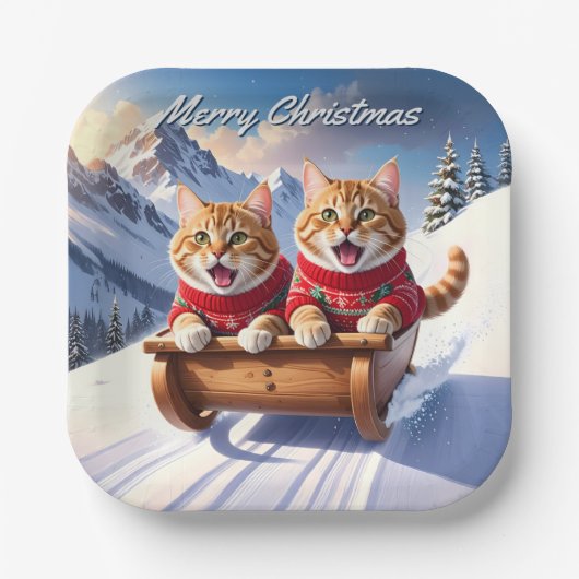 Katten Sled Ride Kerstmis Papieren Bordje (Voorkant)