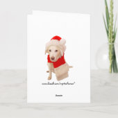 Katten Sleigh Ride Feestdagen Kaart (Achterkant)