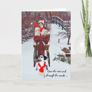 Katten Sleigh Ride Feestdagen Kaart