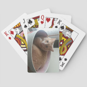 Katten Speelkaarten
