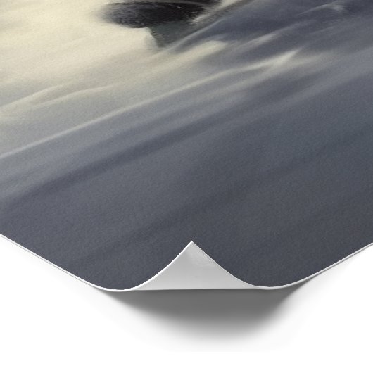 Katten spelen hockey poster (Hoek)