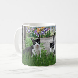  Katten spelen in bloementuin  Koffiemok