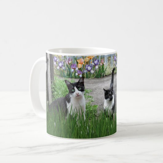 Katten spelen in bloementuin Koffiemok (Voorkant links)