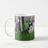 Katten spelen in bloementuin Koffiemok (Links)