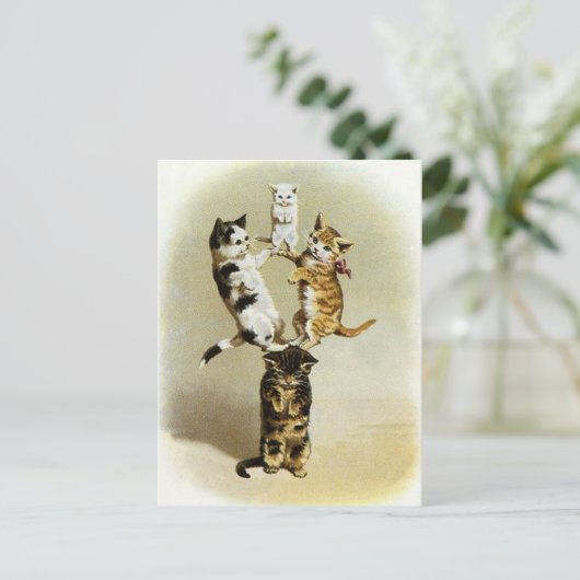  katten spelen Kittens, Humor Briefkaart (Staand voorkant)