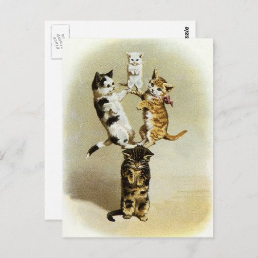  katten spelen Kittens, Humor Briefkaart (Voorkant / Achterkant)