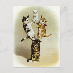  katten spelen Kittens, Humor Briefkaart