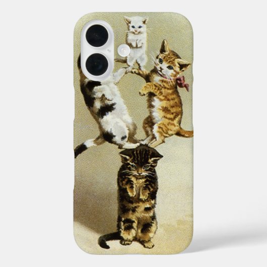  katten spelen Kittens, Humor Case-Mate iPhone Case (Achterkant)