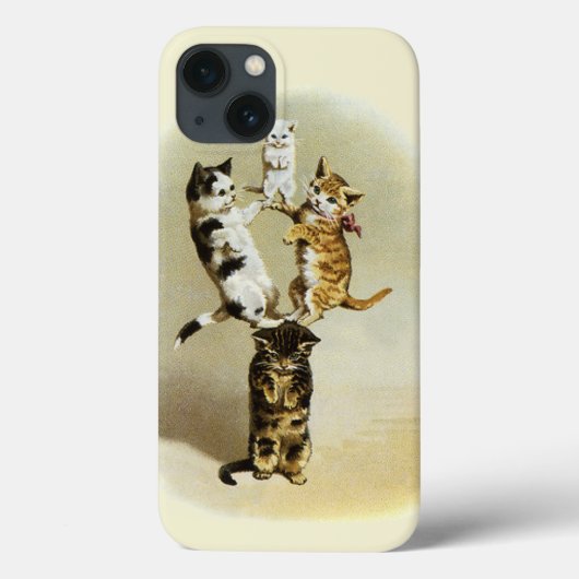  katten spelen Kittens, Humor Case-Mate iPhone Case (Achterkant)