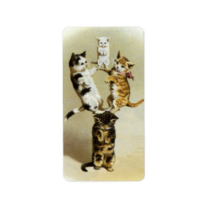 katten spelen Kittens, Humor Etiket