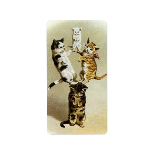  katten spelen Kittens, Humor Etiket (Voorkant)