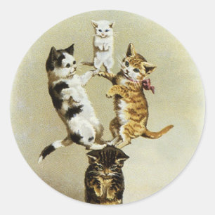  katten spelen Kittens, Humor Ronde Sticker