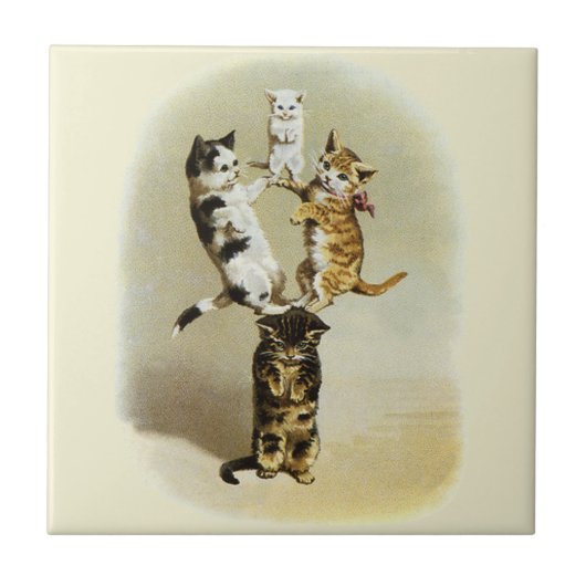  katten spelen Kittens, Humor Tegeltje (Voorkant)