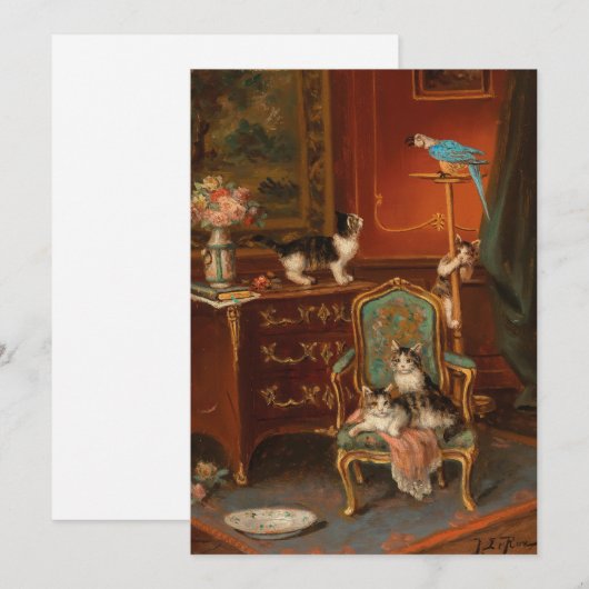 Katten spelen met een papegaai | Jules Le Roy (Voorkant / Achterkant)