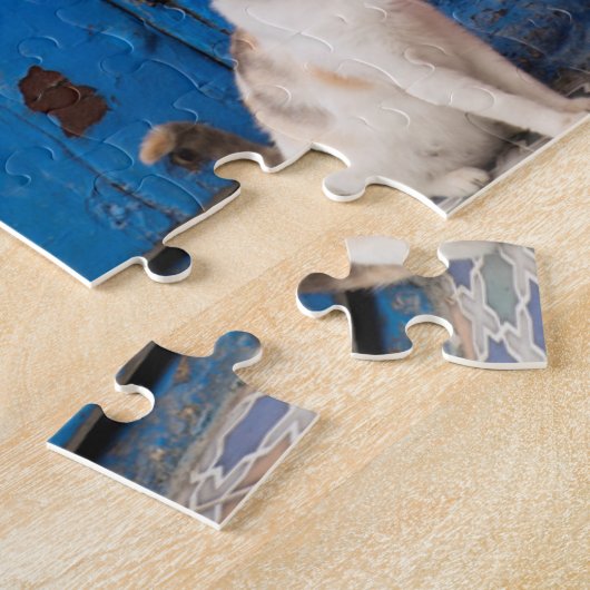 Katten spelen rond, Rabat, Marokko Legpuzzel (Zijkant)