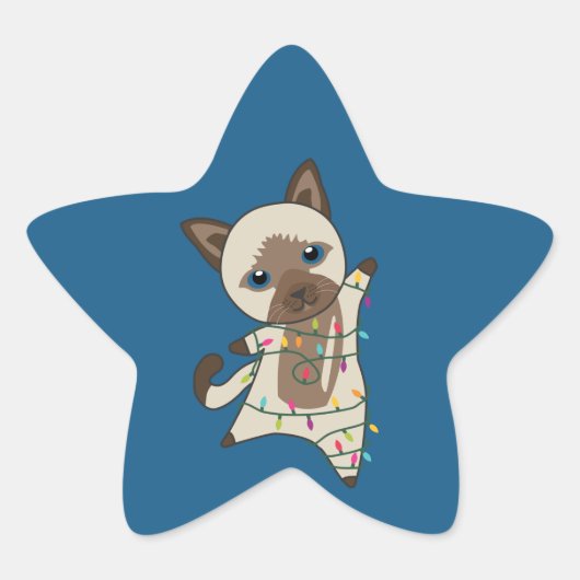 Katten Star Sticke Ster Sticker (Voorkant)