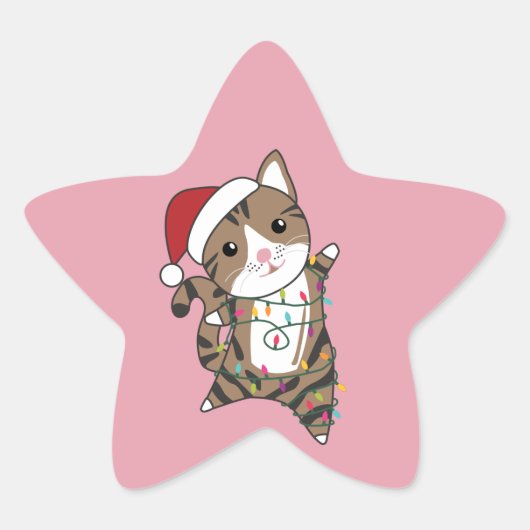 Katten Star Sticke Ster Sticker (Voorkant)